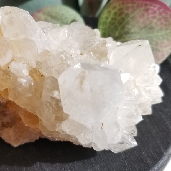 Clear Cactus Quartz Crystal From South Africa - Picture 4 of 4